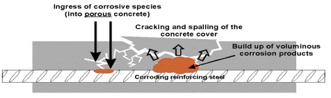 Cellar – Severe water stains and damage on ceiling and walls